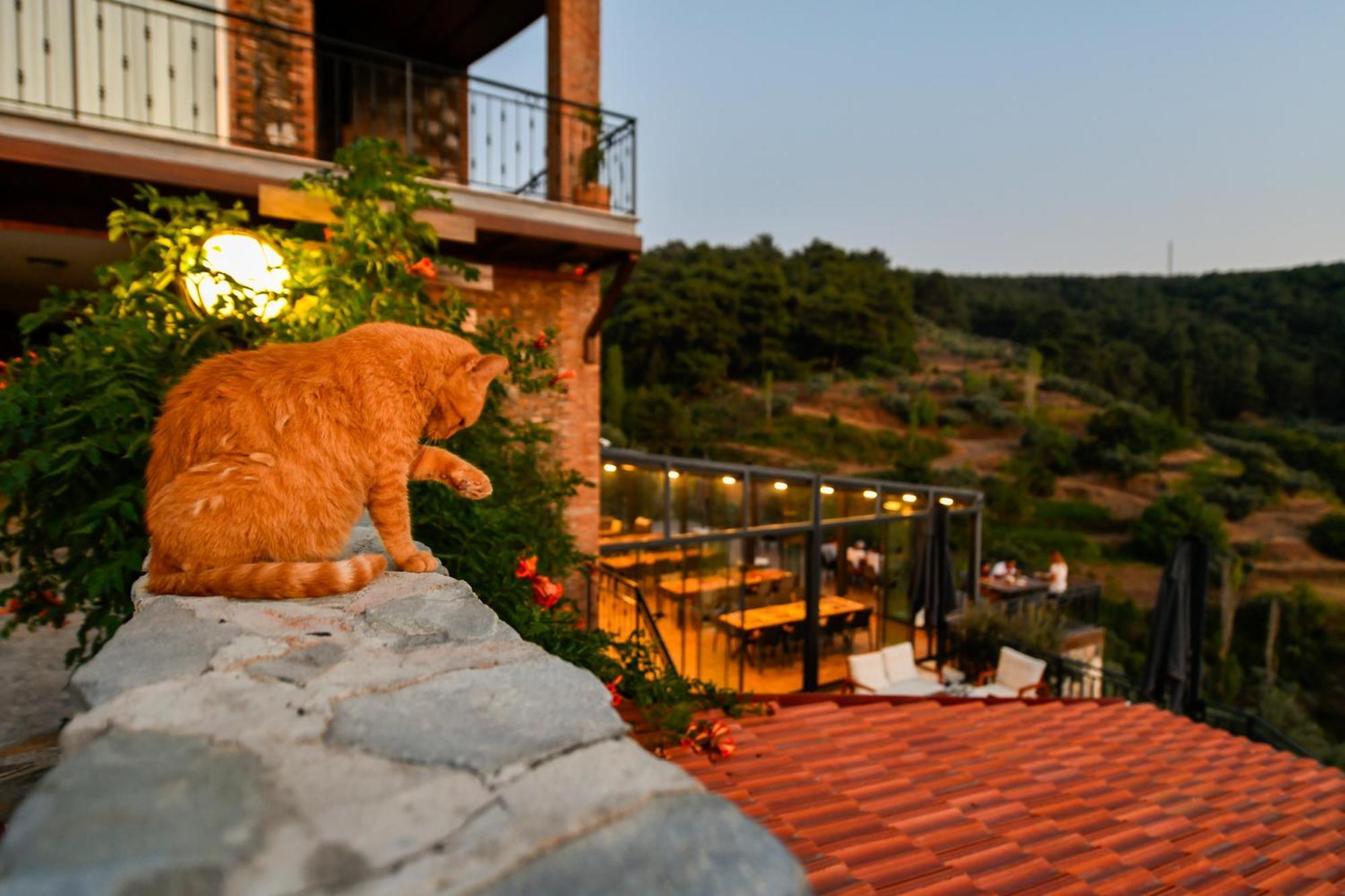 Ephesus Retreat Hotel İzmir Ngoại thất bức ảnh