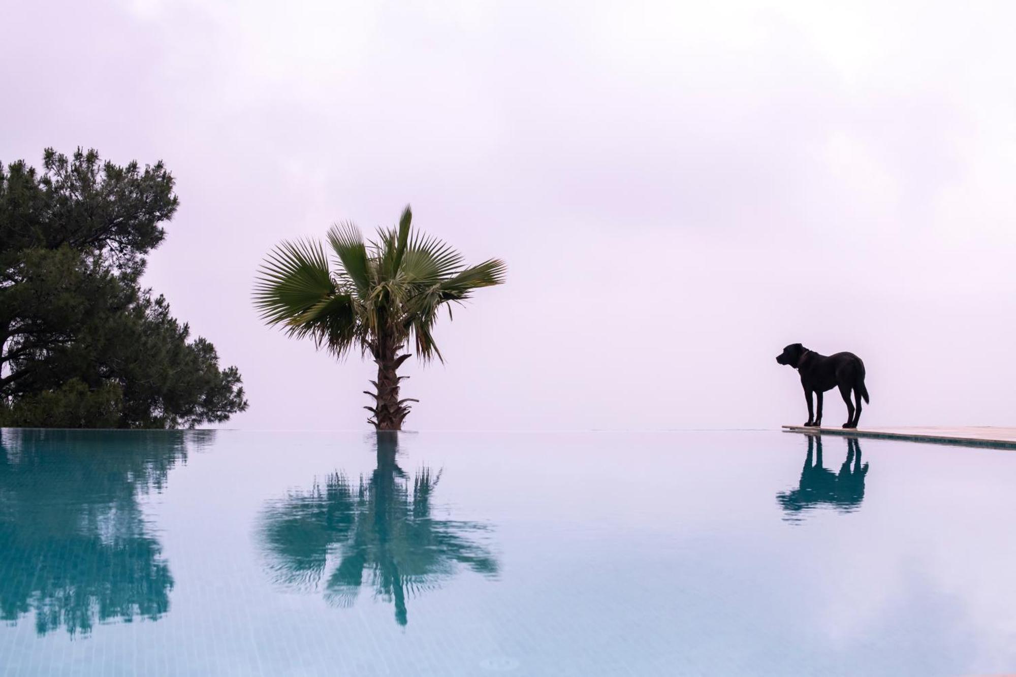 Ephesus Retreat Hotel İzmir Ngoại thất bức ảnh