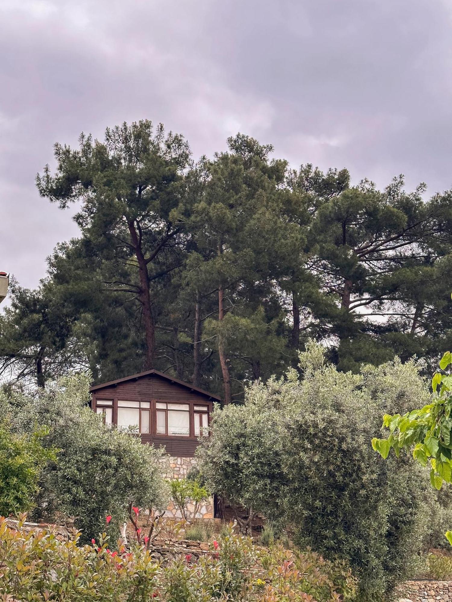 Ephesus Retreat Hotel İzmir Ngoại thất bức ảnh